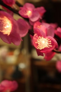 Light up cherry blossoms available in Japan for purchase.